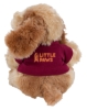 Chelsea Teddy Bear™ Bo - 8" Plush - Red shirt